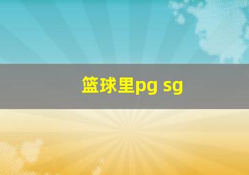 篮球里pg sg